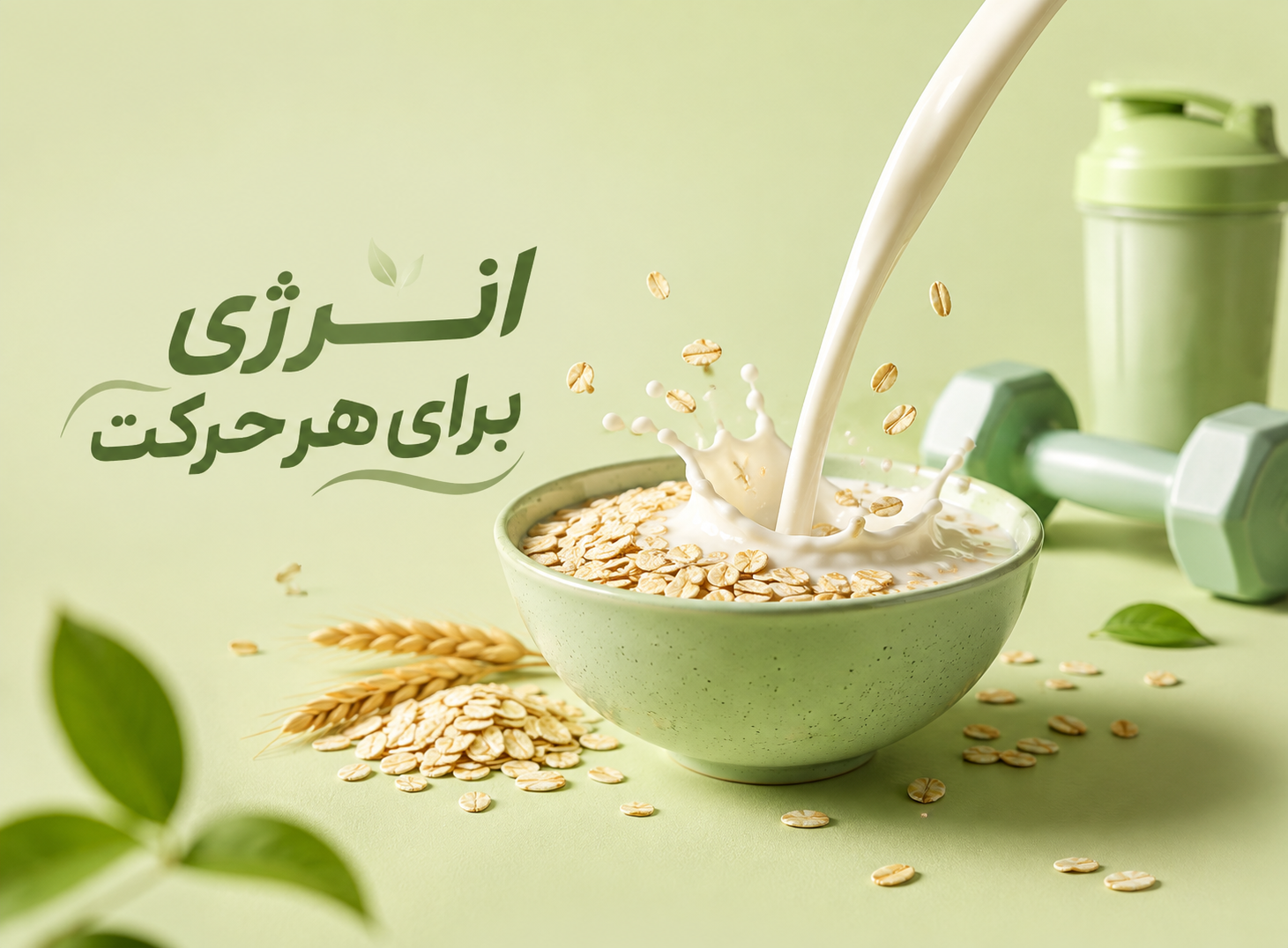 غلات خشکپاک